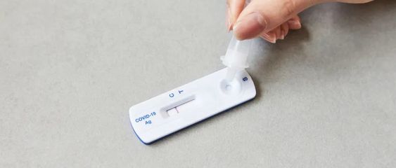 辟谣！“二阳”不发烧意味着免疫力更强？抗原颜色浅就是病毒载量低？专家解析真相